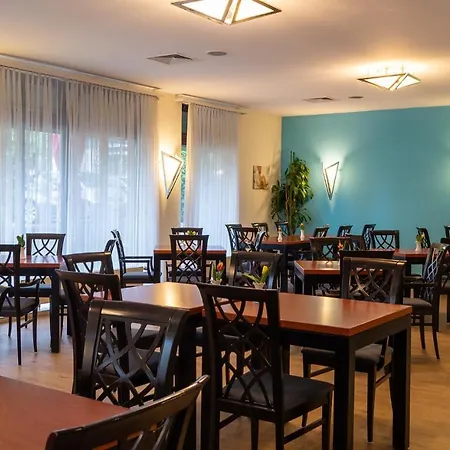 Trip Bristol 美因茨