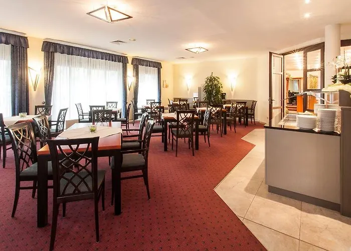 Trip Bristol 美因茨