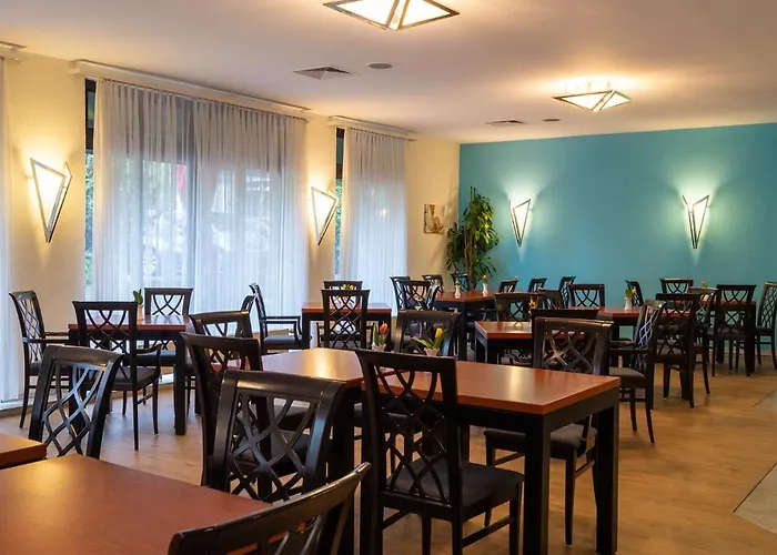 Trip Bristol Maguncia