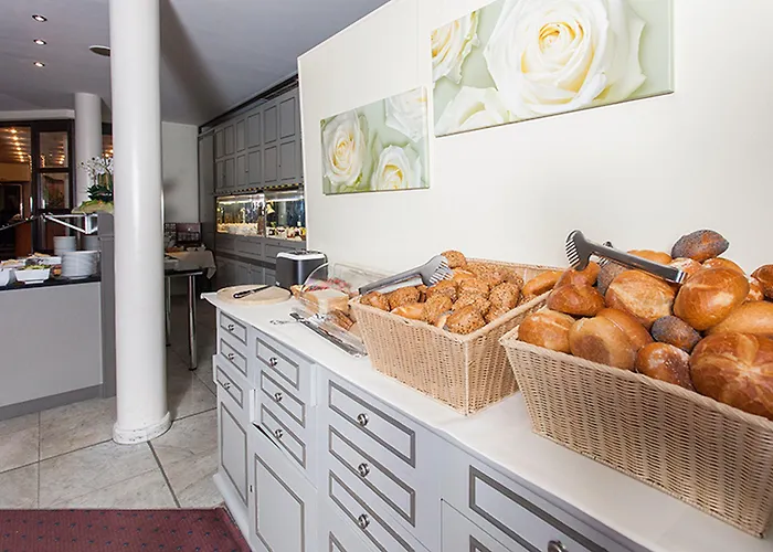 Trip Bristol Maguncia